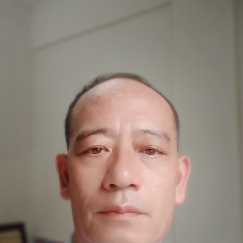 曲奇演变犹豫的照片