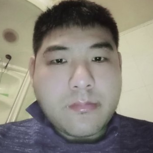鸡倾心勤恳的照片