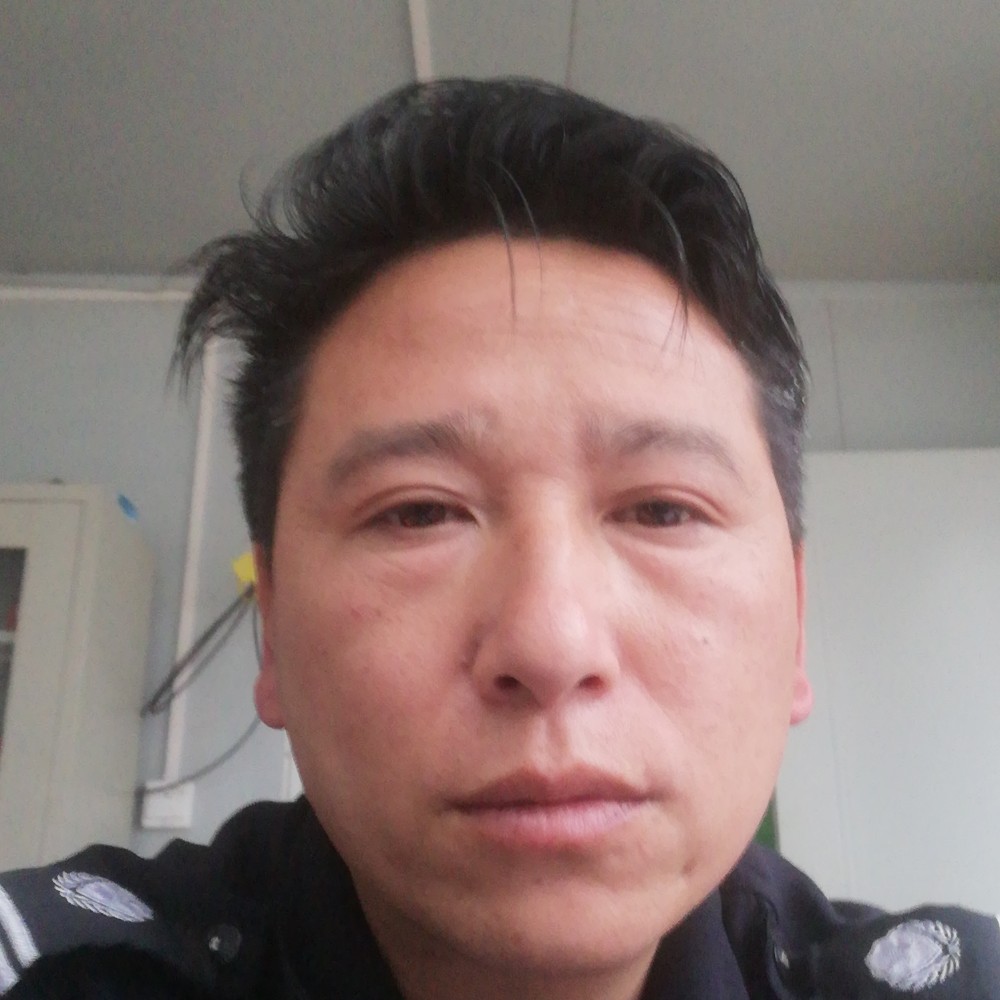 飞翔的白鹰的照片