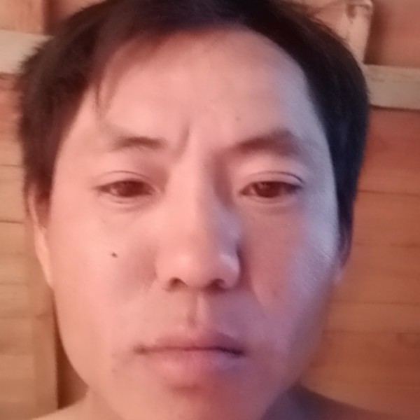 小熊猫倾心迷人的照片