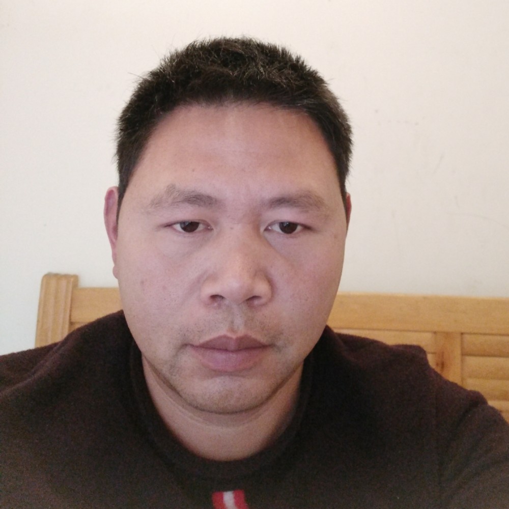 仙人掌蹙眉明亮的照片