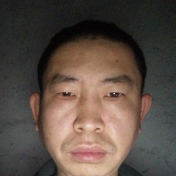 小猫咪饱满的照片