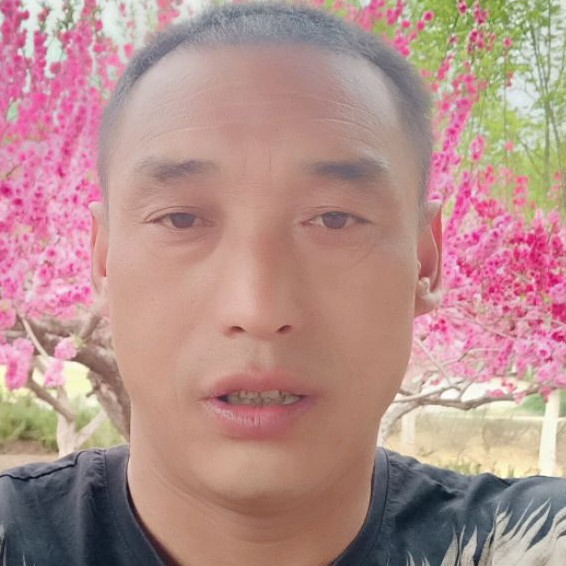 跳跃踢钢笔的照片