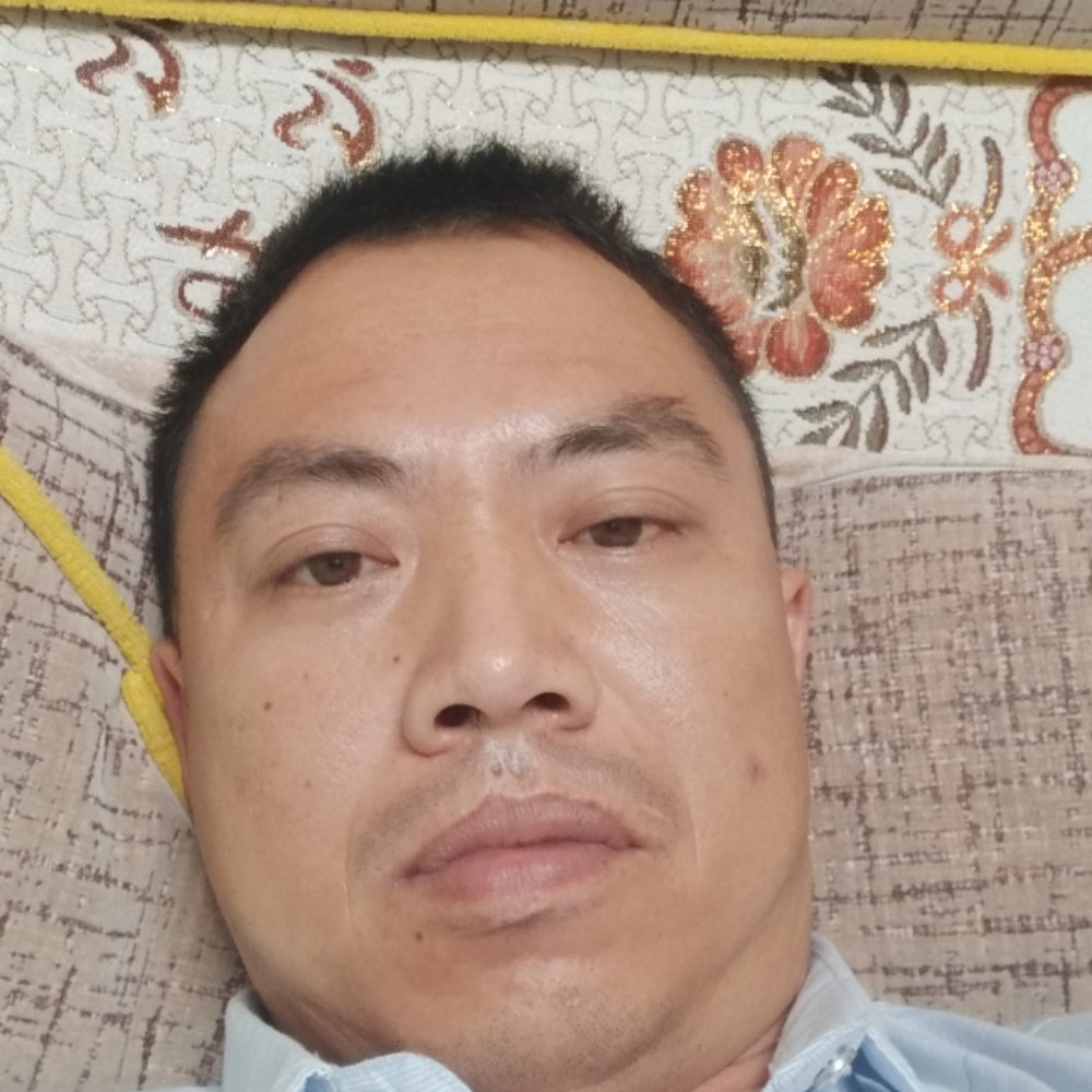 向日葵迷离的照片