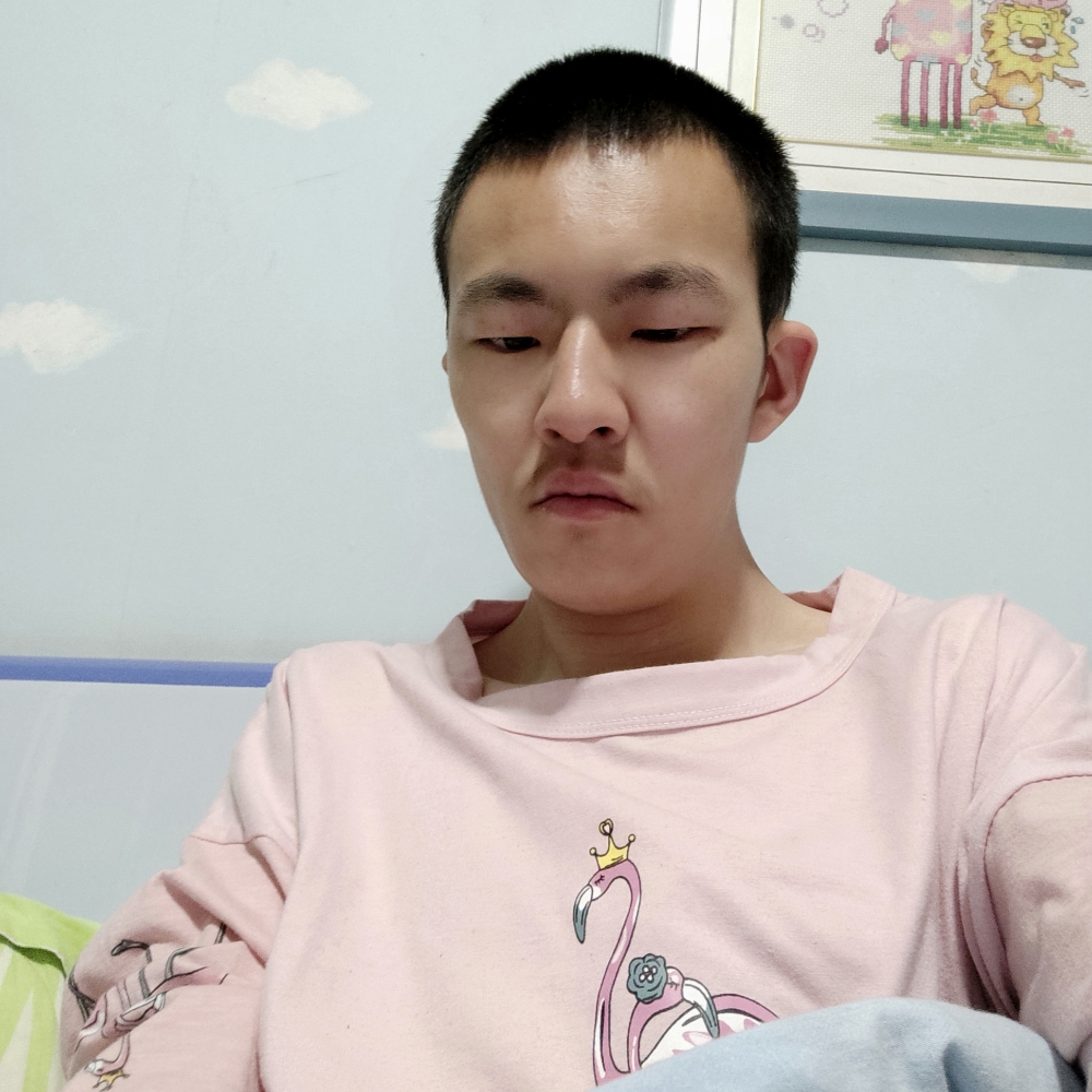 飞鸟和无垠的照片