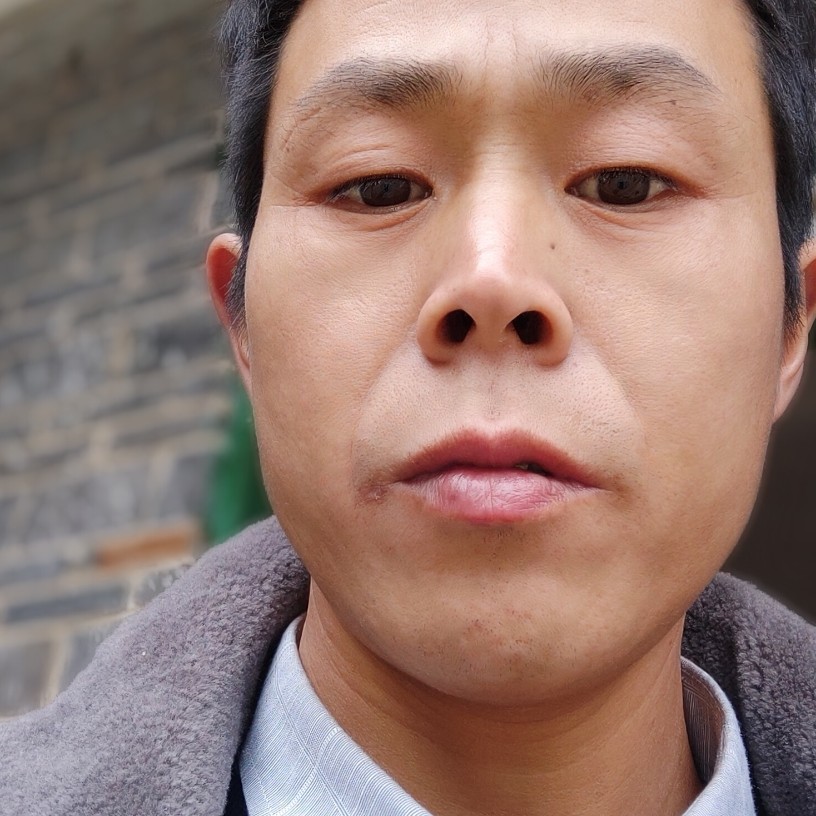 鸡怕孤独的照片