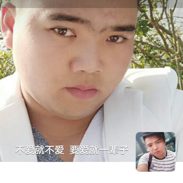 彼年惊鸿的照片