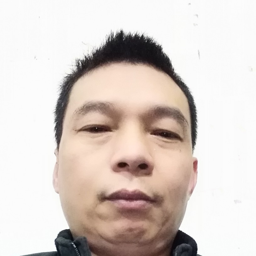 何止辛褔的照片