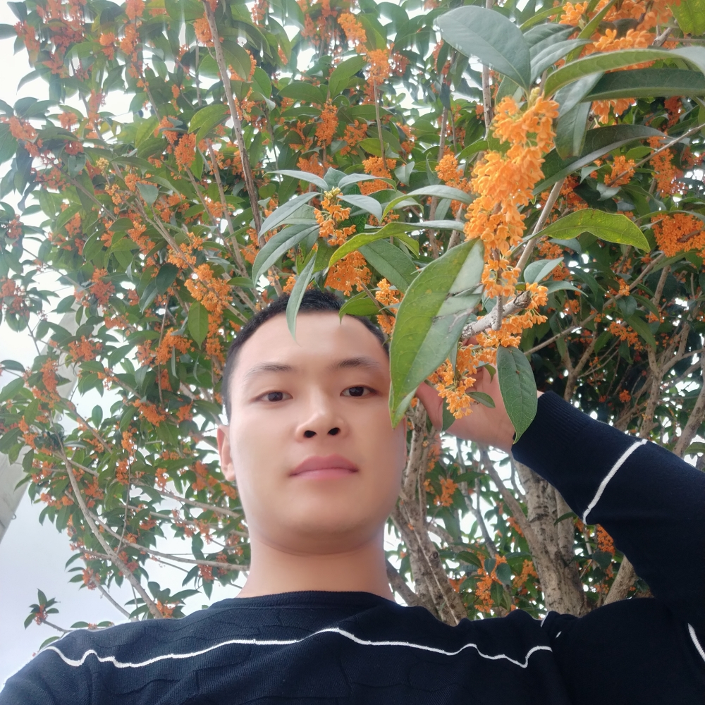 殷勤暖光的照片