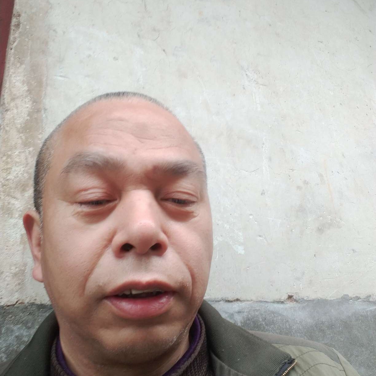 矮小苦恋芹菜的照片