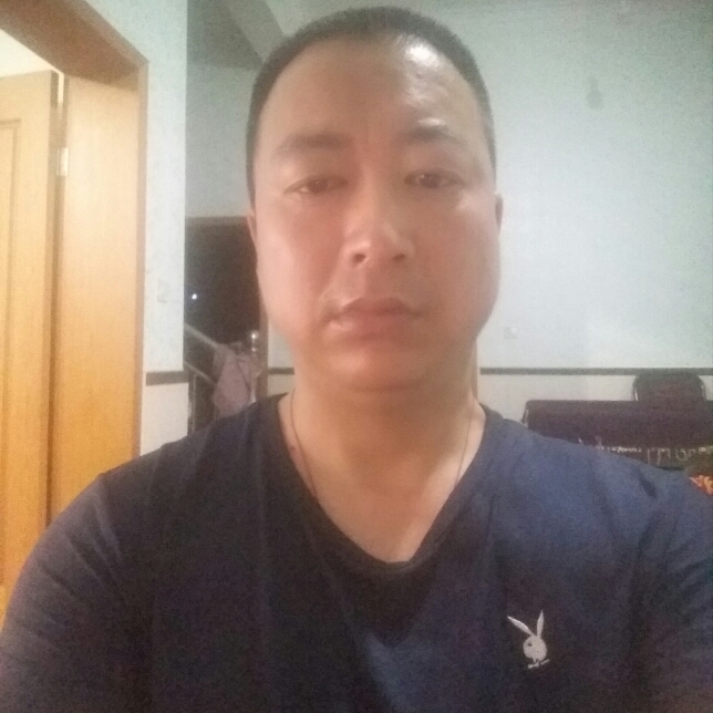 渔网的照片
