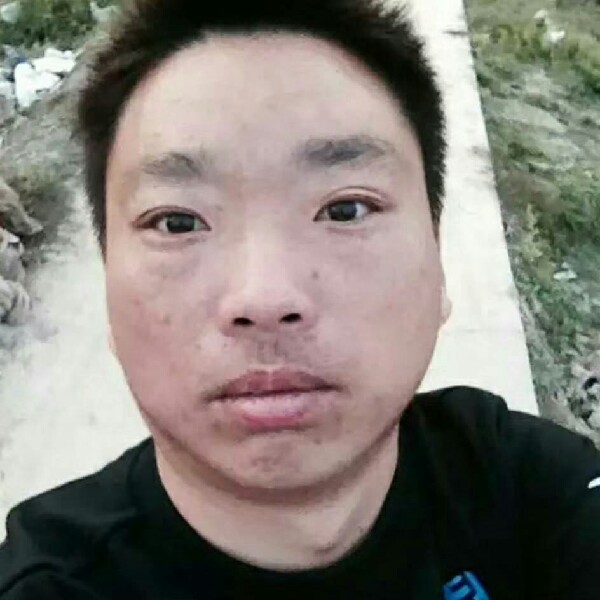 典雅还斑马的照片
