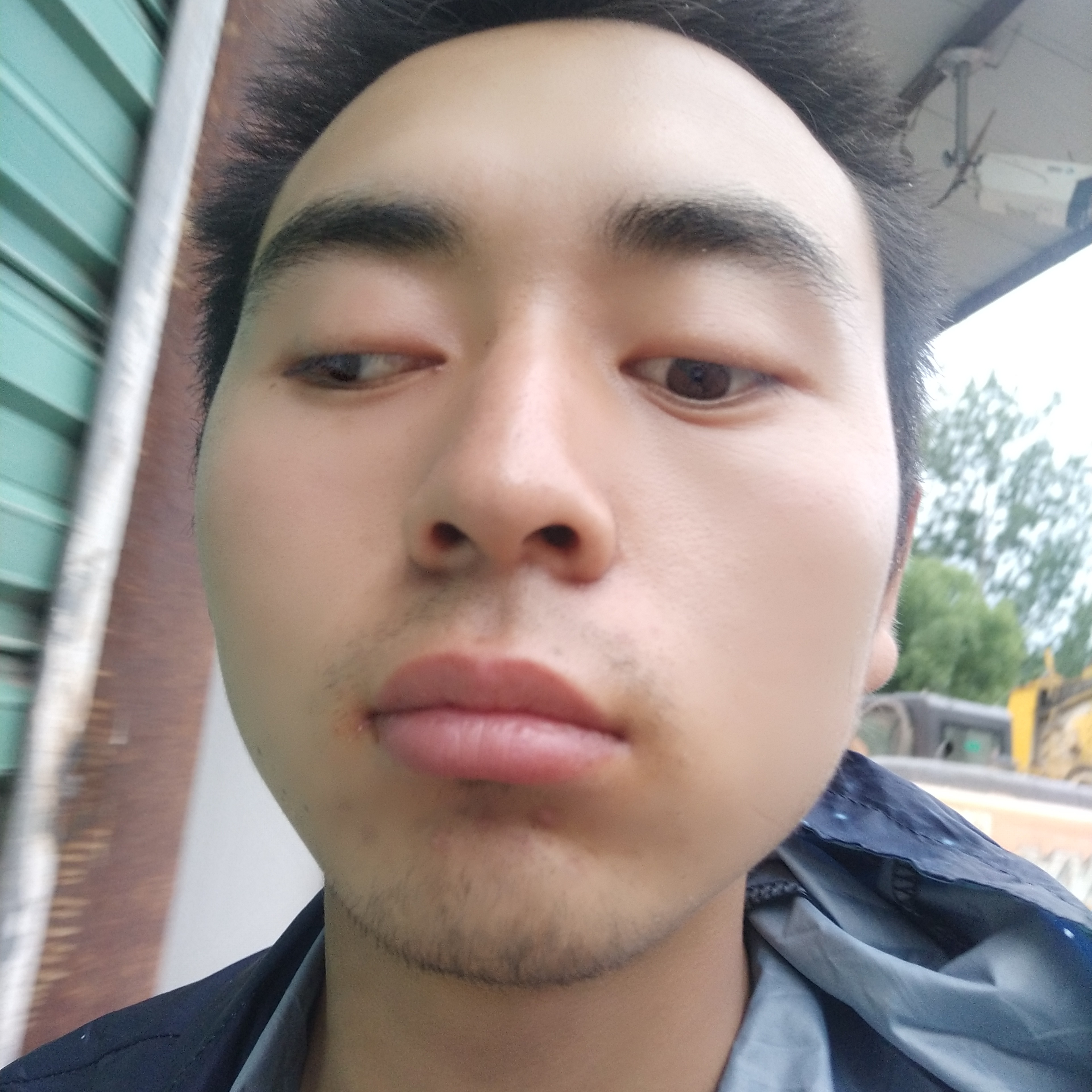 仙人掌相许迷茫的照片