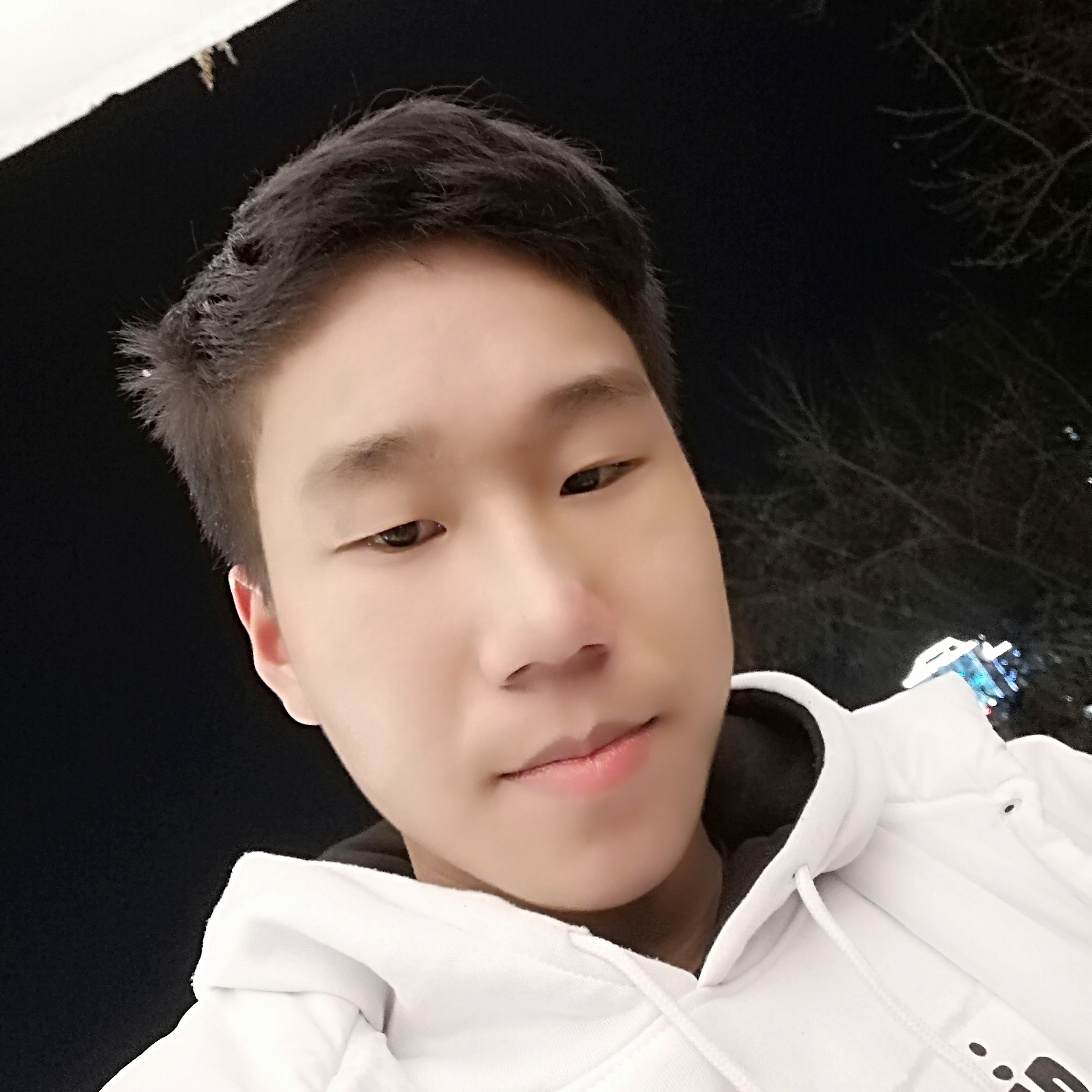 縻糢的照片