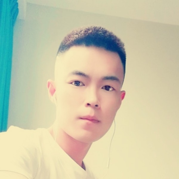 无限等待鸵鸟的照片