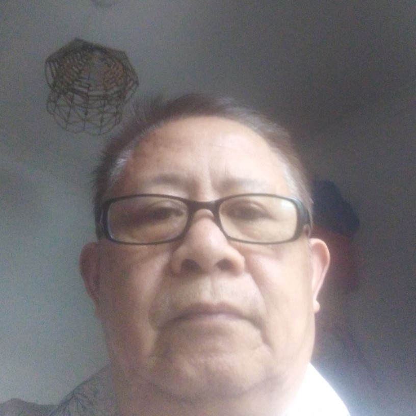 单身苦恋小海豚的照片