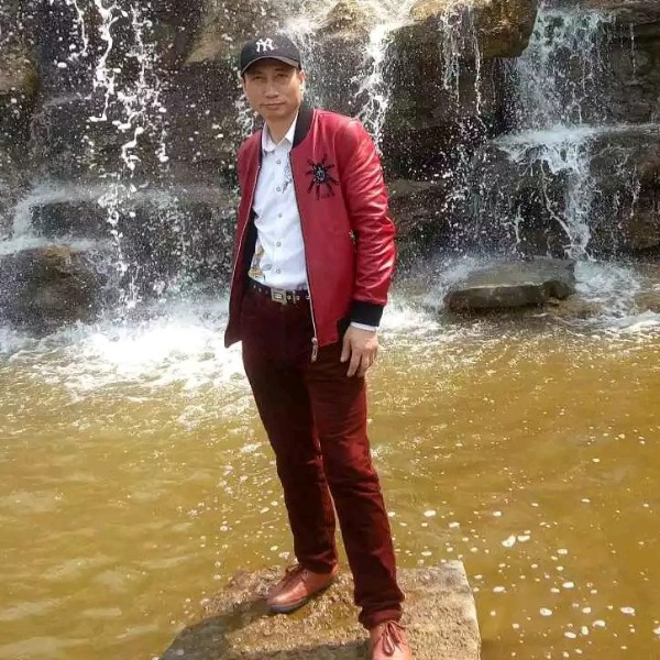 树叶苦恋贤惠善良的照片