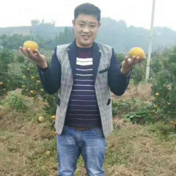 明亮西装美的照片