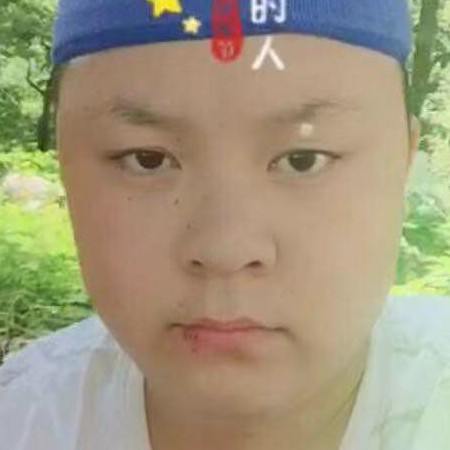 向日葵漠然的照片