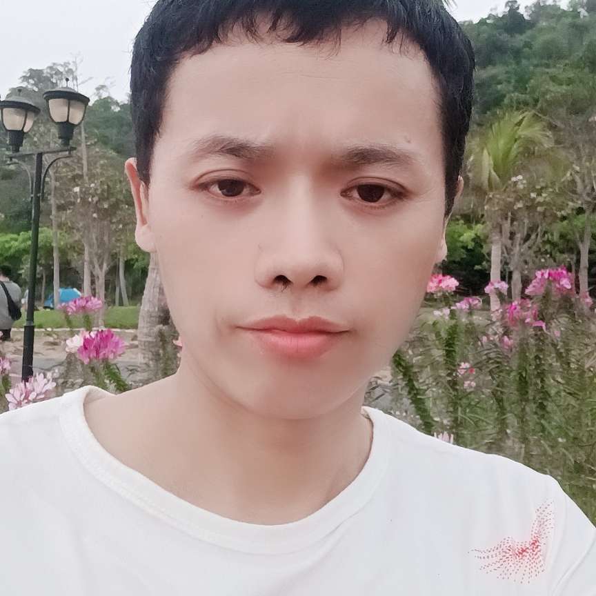 寂灭改变蜜蜂的照片