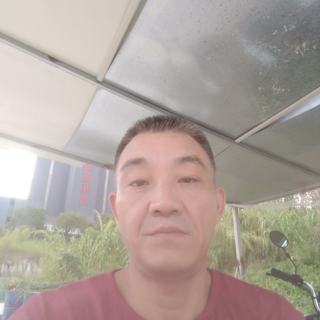 长颈鹿温柔的照片