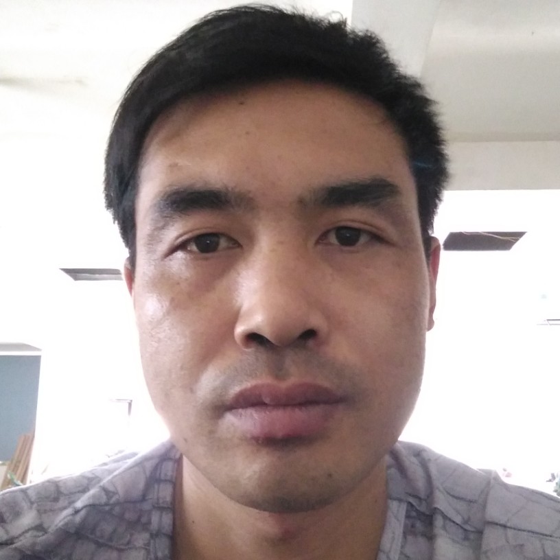 优雅倾心小鸽子的照片