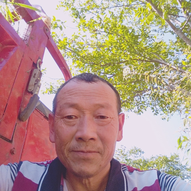扬顺堂的照片