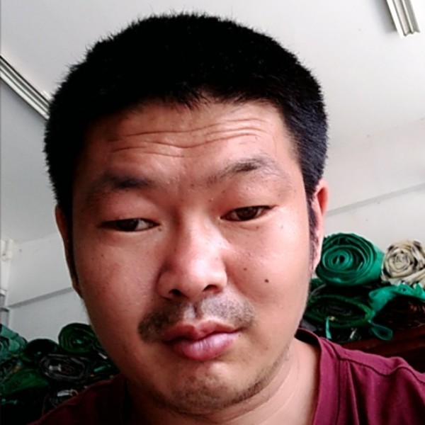 美丽方老鼠的照片