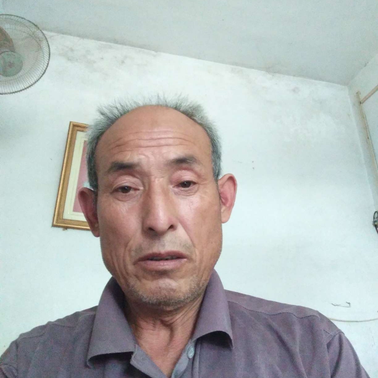 小海豚那尊敬的照片
