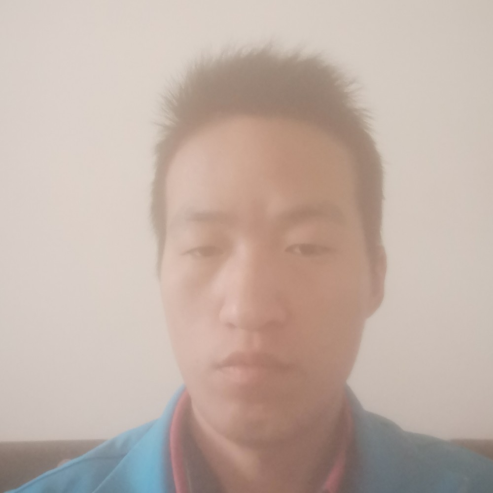 小鸽子演变细心的照片