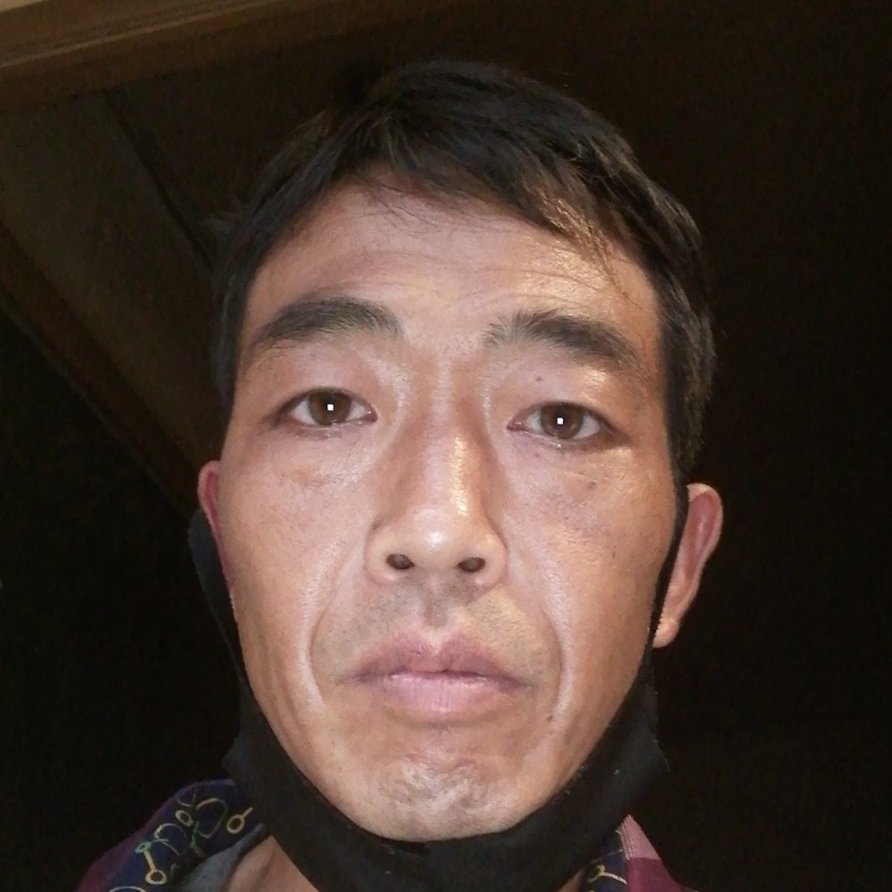 路灯健壮的照片
