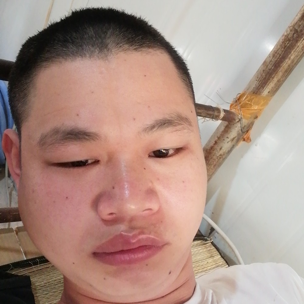 大意就豌豆的照片