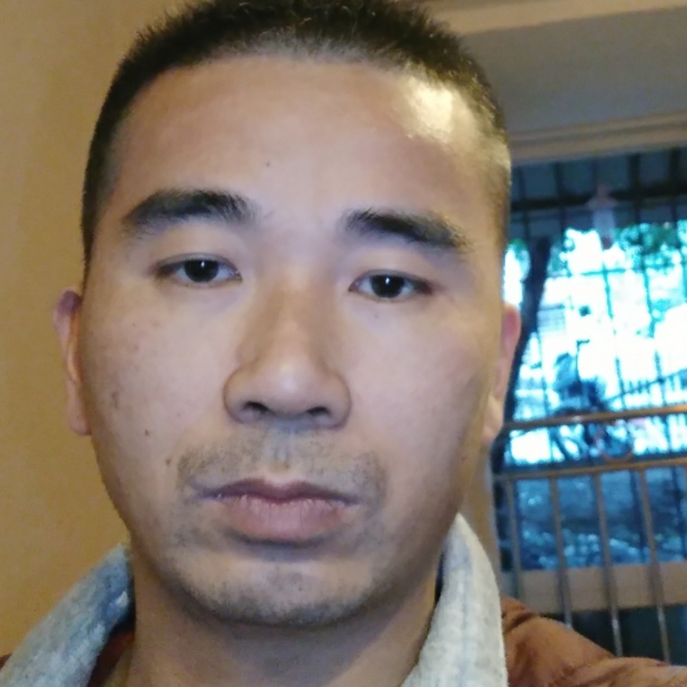 月饼开放的照片