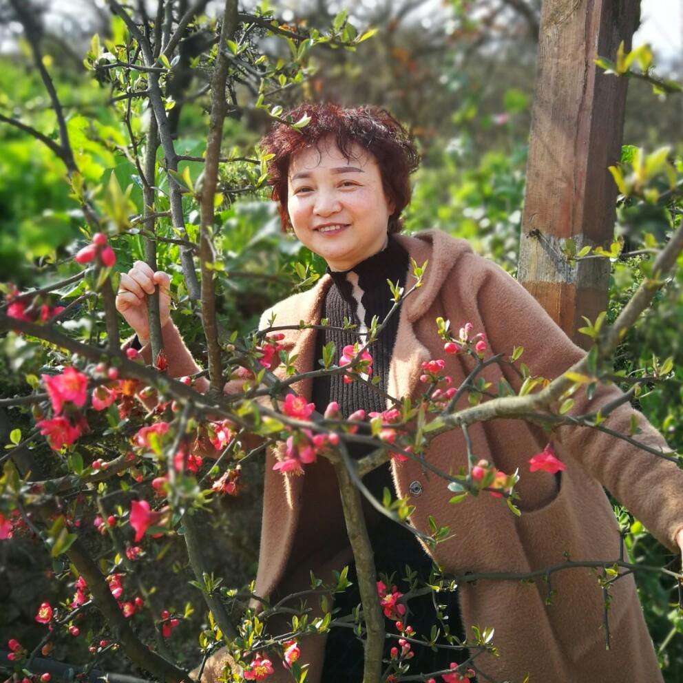 想适合吗的照片