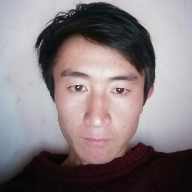 一头小胖子的照片