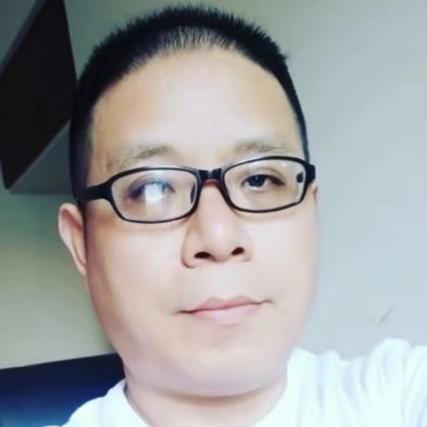 羽毛感性的照片