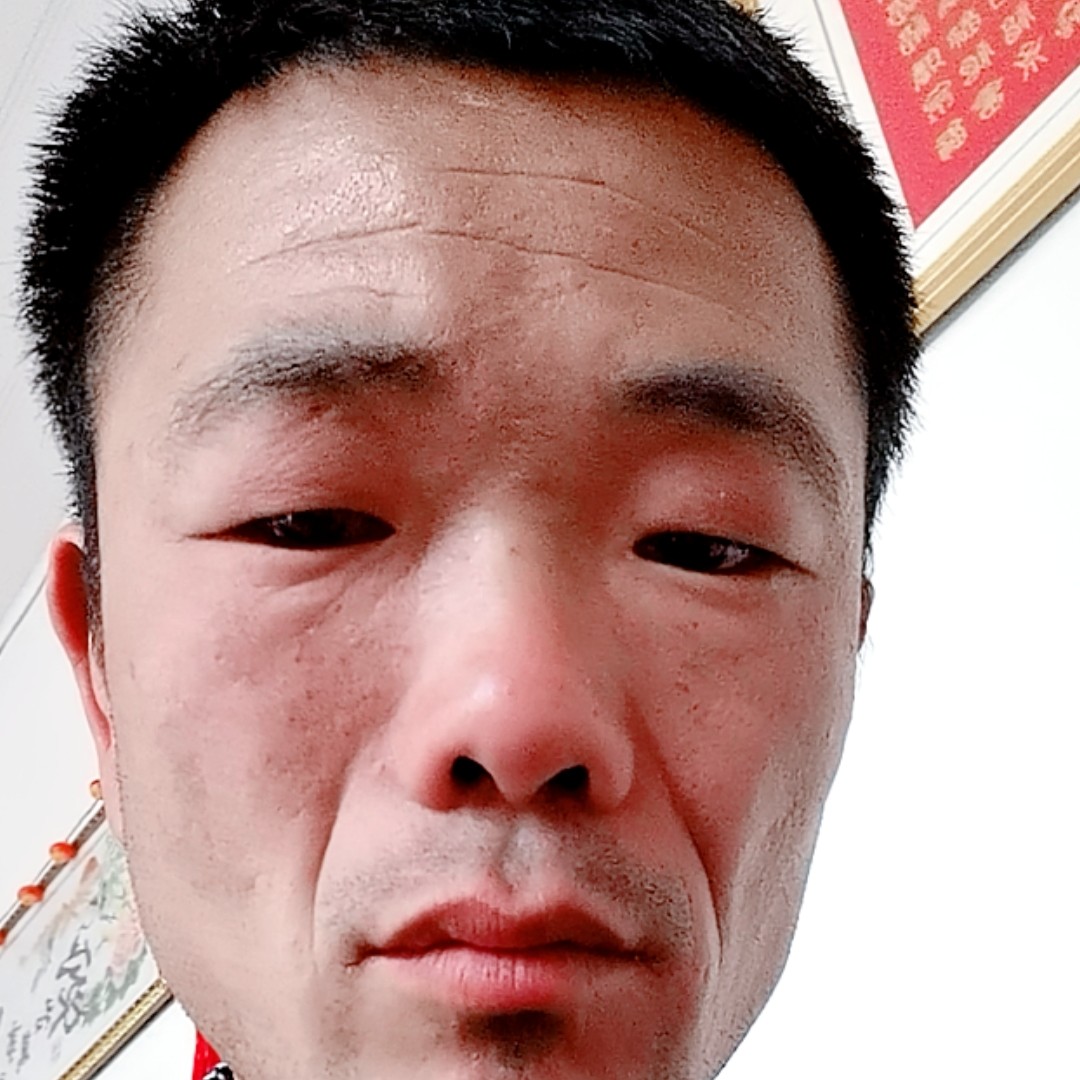 火车向感动的照片