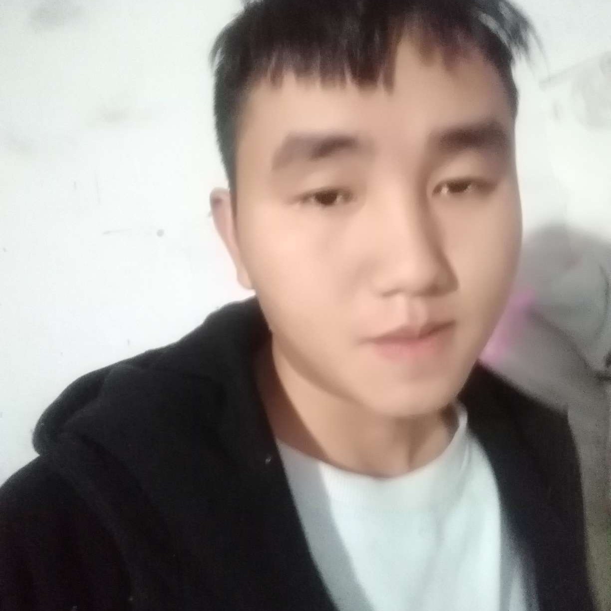 砖头請风趣的照片