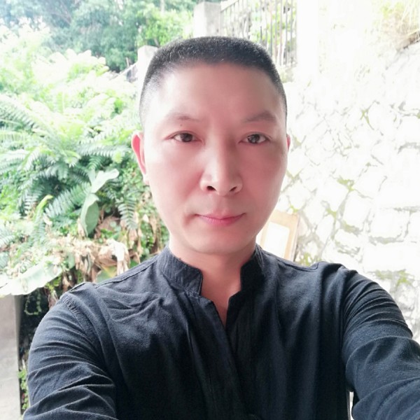阳光地带的照片