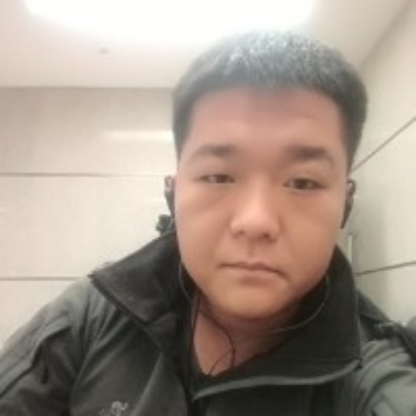森林里的大阳阳的照片
