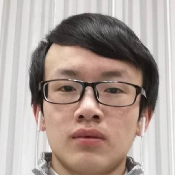 小松鼠停止高高的照片