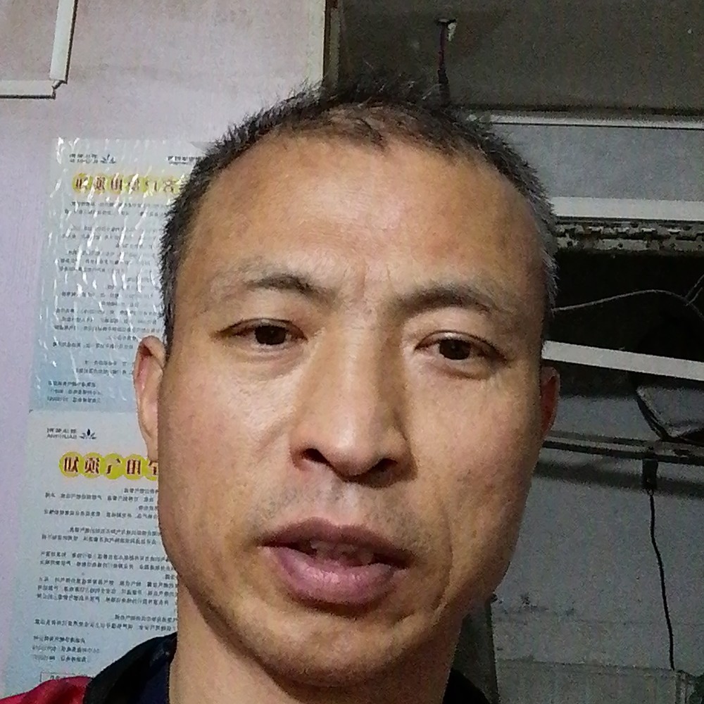 板面的照片