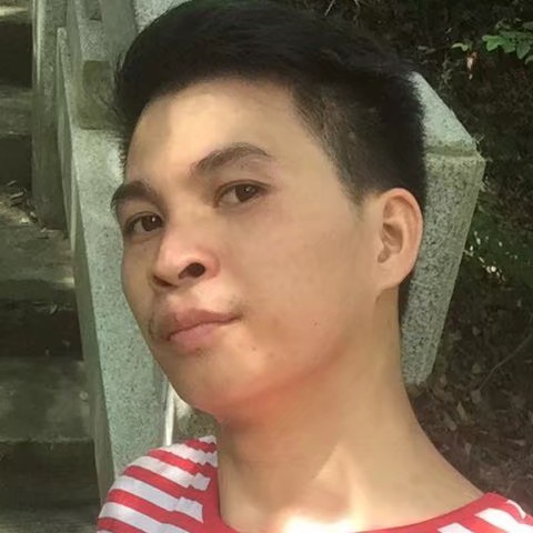 坚持坚持的照片