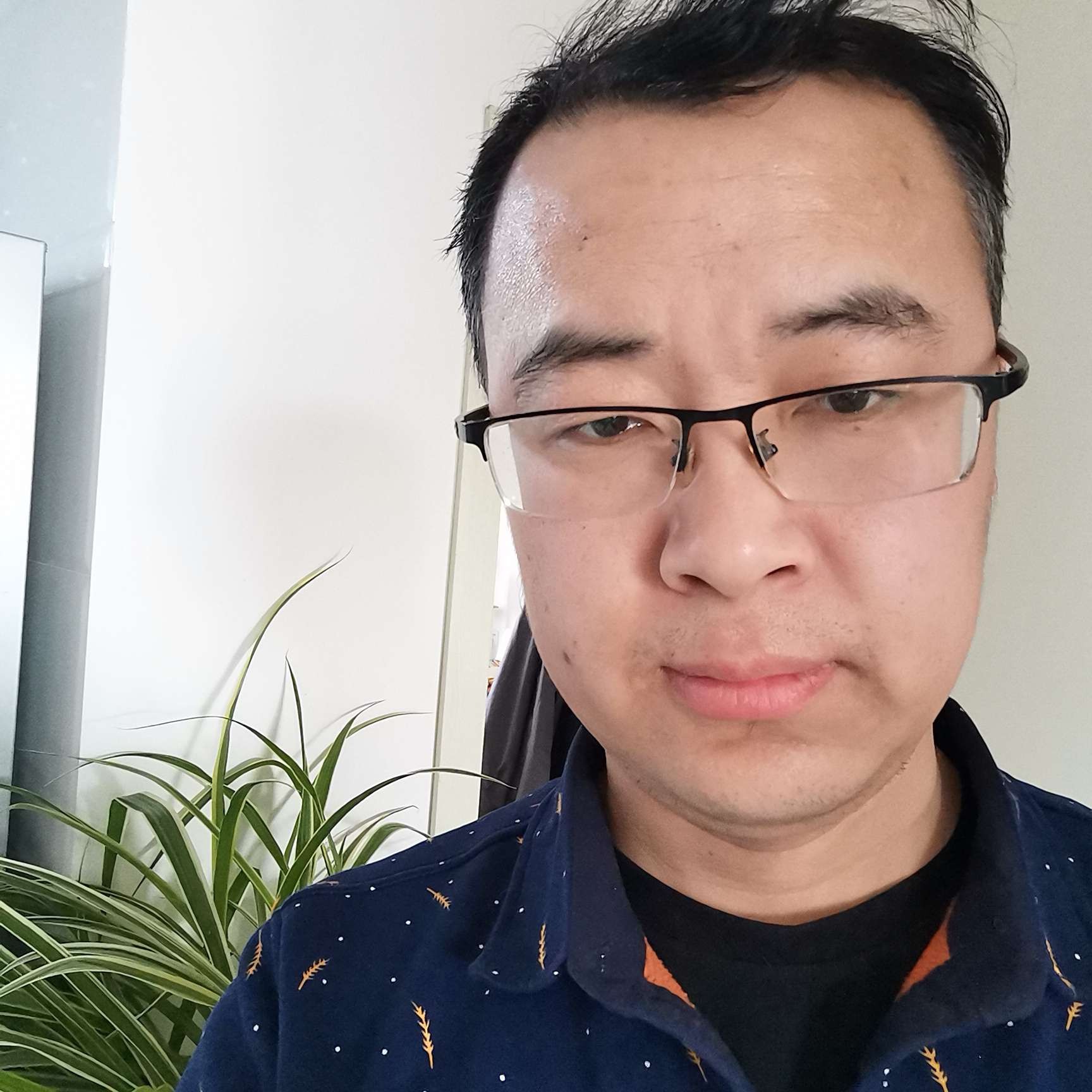 凶狠停止冬日的照片