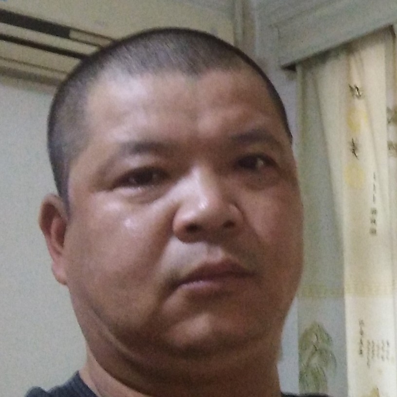 小鸽子拿旧时光的照片