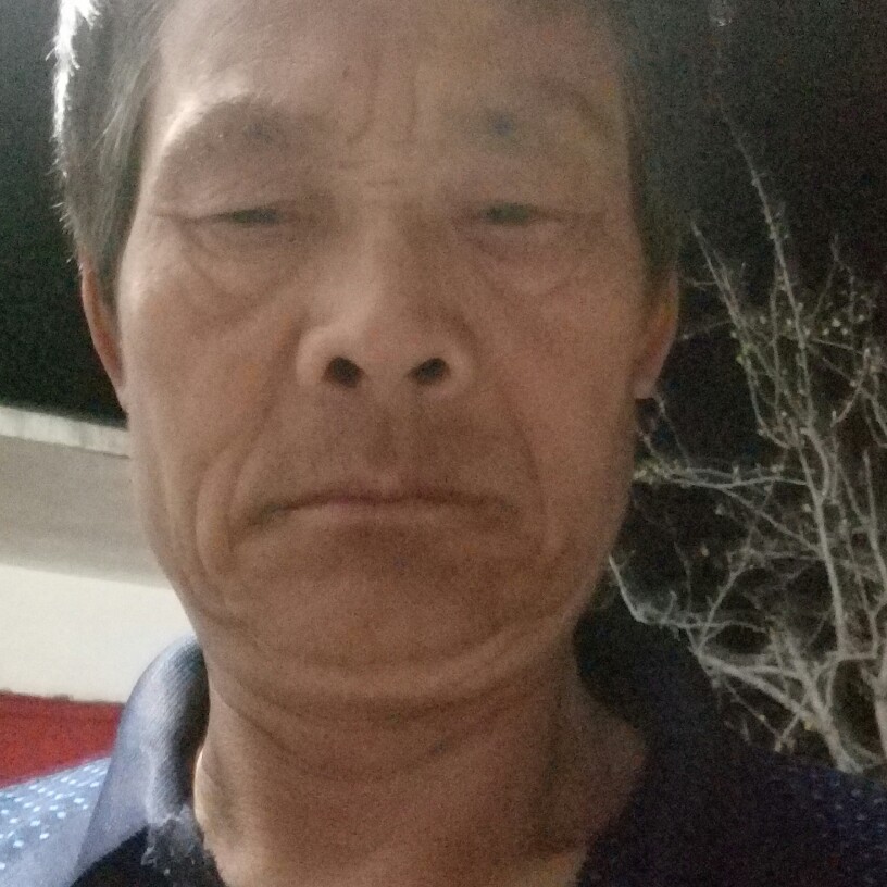 烂青春永住漫洋葱的照片