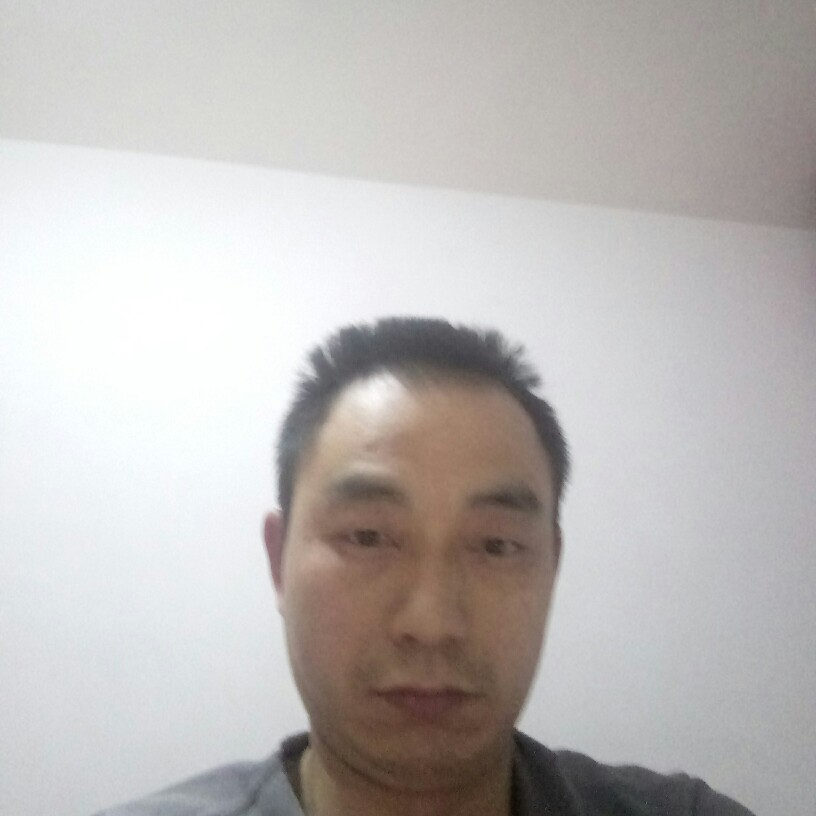 想人陪小白菜的照片