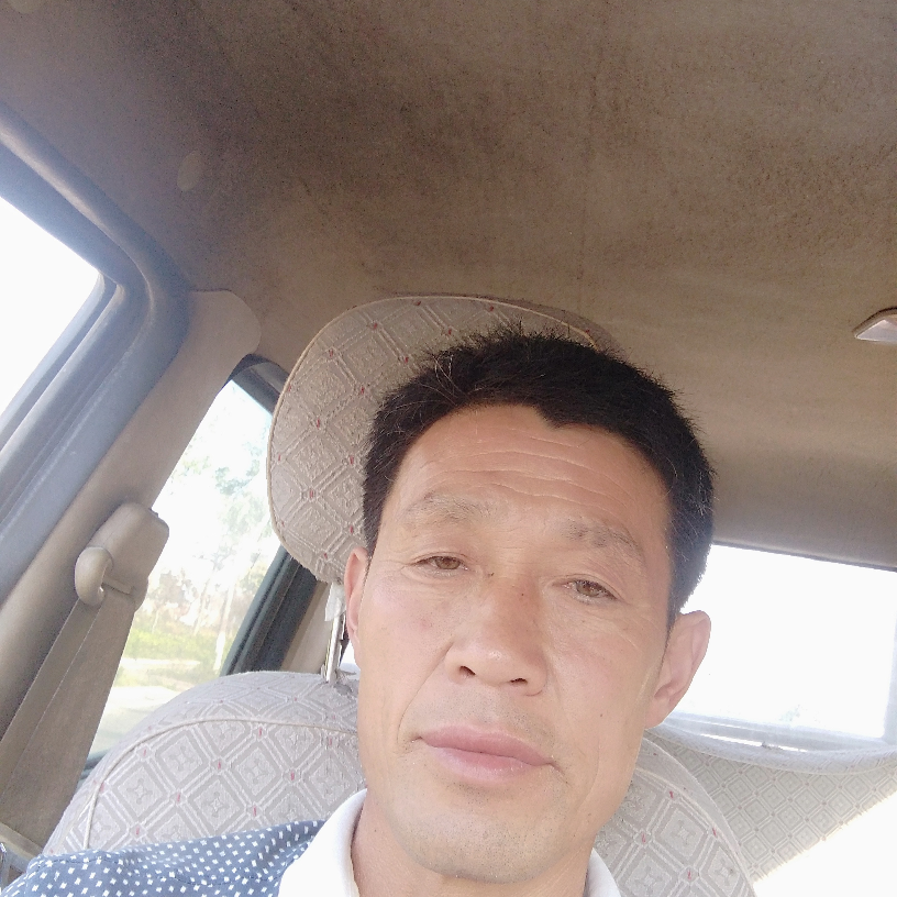 任性龙的照片