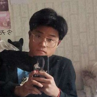 斑马的照片