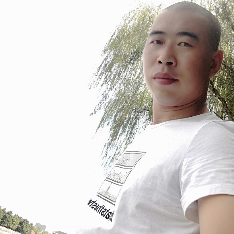 海豚湾恋人！的照片